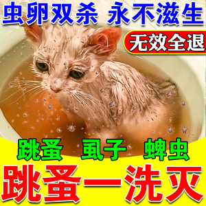 去猫身上跳蚤的药猫咪洗澡沐浴露驱虫体外猫去跳蚤药浴幼猫专用药