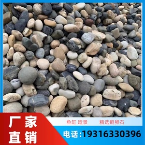 江苏河卵石园林绿化用河卵石变电站用鹅卵石石子鹅卵石滤料河滩
