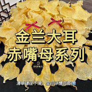 【珊珊鱼胶】赤嘴母 金兰大耳赤嘴母 花胶鱼胶 广东汕头实体老店