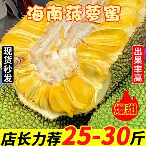 海南三亚黄肉菠萝蜜当季特产新鲜水果一整个40斤木波罗蜜包邮红