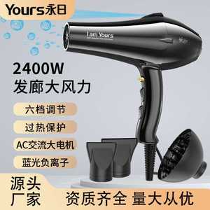 Yongri Blue Light Negative Ion Hair Dryer 2400W High Power H