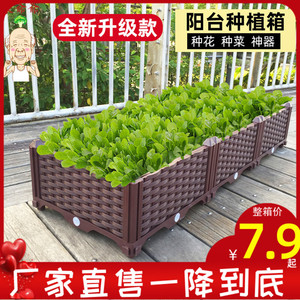 新疆包邮蔬菜种植箱 特大阳台种菜盆长方形家庭屋顶菜园塑料种菜