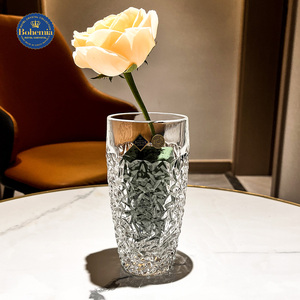 捷克BOHEMIA进口水晶玻璃花瓶 透明插花欧式现代桌面居家小号摆件