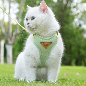 猫咪牵引绳防挣脱背心式网红遛猫绳英短外出专用猫链子宠物胸背带