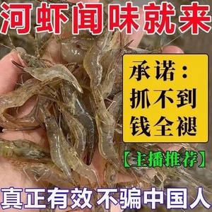 河虾小龙虾诱饵专用爆笼诱剂诱虾抓黄鳝蟹通用老偏方万能上虾小药