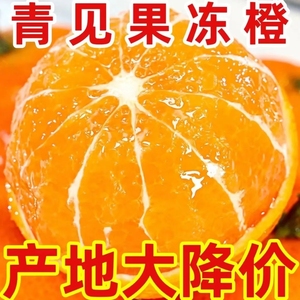 现货四川青见38号果冻橙10斤橙子新鲜当季水果柑橘蜜桔子整箱包邮