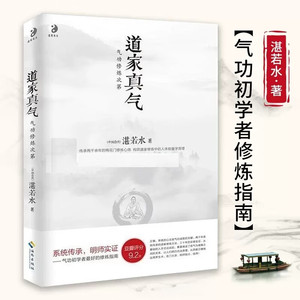 道家真气（气功修炼次第）湛若水著海南出版社正版传承两千余年的梅花门修炼心得气功初学者修炼入门指南运行法心法真传大全书籍