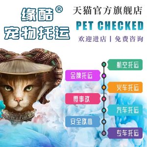宠物托运服务全国国际快递邮寄运输猫咪狗狗空运火车上海北京深圳