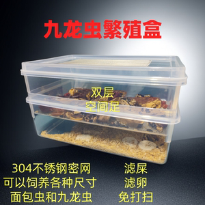 面包虫饲养盒鲜活养殖面包虫活体大麦黄粉虫饲养盒专业杜比亚蟋蟀