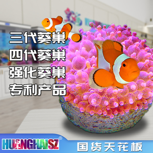 皇海葵巢磁吸奶嘴杯防跑珊瑚罐子家屋海鱼缸造景装饰海葵窝