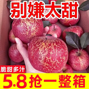 正宗云南昭通冰糖心丑苹果脆甜新鲜红富士苹果当季水果10斤不打蜡