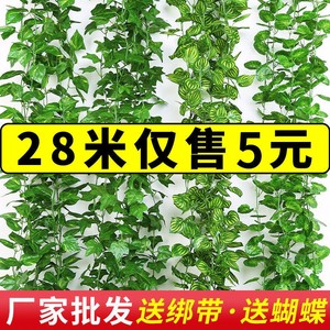 仿真绿萝藤条装饰假花塑料植物藤葡萄绿叶子藤蔓栏杆下水空调管。