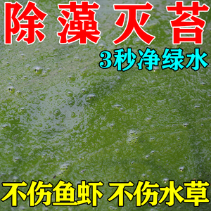 鱼池鱼塘除藻剂去苔剂青苔清除剂神器去鱼缸除绿水绿藻蓝藻不伤鱼