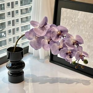 现代简约桌面摆件ins小玻璃花瓶黑色复古高级感客厅插花家居饰品
