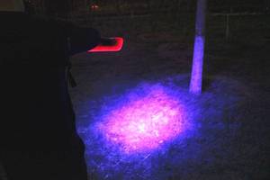 蝎子灯养殖专用紫光手电筒蝎子用豆虫强光充电手提3000米照明灯