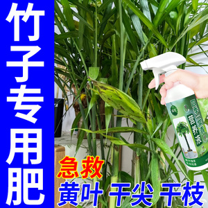 竹子专用营养液水竹肥料文竹夏威夷竹节节高绿叶肥治黄叶干尖落叶