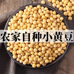 东北新黄豆打豆浆用非转基因大豆农家发豆芽粗粮五谷杂粮豆子