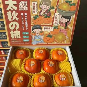日本太秋脆柿原箱礼盒8个装当季引进无核富有甜脆柿糖心柿不涩口