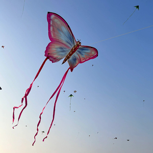 潍坊蝴蝶风筝自动收线大人专用高档微风易飞巨型大号儿童成人手持