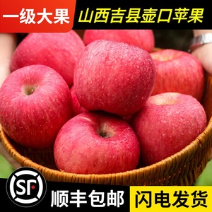 山西吉县苹果现摘壶口苹果水果脆甜冰糖心新鲜红富士整箱10斤顺丰