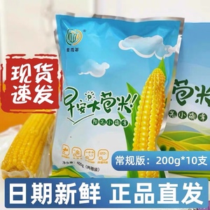麦秀年早安大苞米常规版新鲜日期吉林香糯玉米官方正品旗舰店