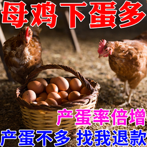 鸡下蛋专用蛋多多鸭鹅禽用产蛋灵增蛋多宝兽用鹌鹑催蛋素下蛋饲料