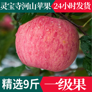 河南三门峡灵宝苹果正宗寺河山红富士一级精品冰糖心新鲜当季水果