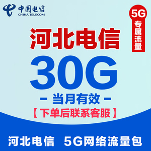 河北电信流量包30G 电信手机充值仅限5G网络专用流量包当月有效SD