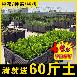 家庭楼顶种植箱种菜神器户外菜园特大塑料花箱阳台花盆长方形菜盆