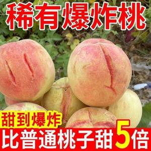 水蜜桃冬桃子山东青州冬雪蜜脆甜毛桃孕妇水果新鲜应季特大现发5