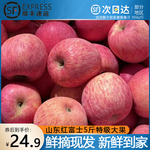 山东红富士新鲜10斤包邮当季水果精品一级高端应季脆甜苹果整箱