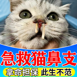 猫鼻支特效药猫咪打喷嚏流鼻涕滴鼻液呼吸道感染疹疱病毒肺炎专用