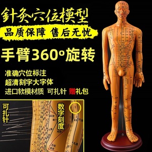 针灸穴位人体模型经络全身图中医十二铜人可扎针练习小皮人模特。