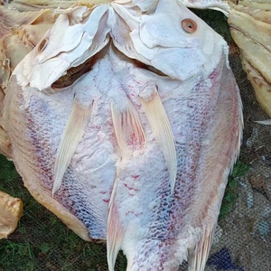 红鱼干干货正宗淡干海南儋州红鱼干海鲜海鱼干货土特产深海咸鱼干