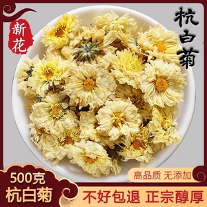 杭白菊花茶500g正宗白菊花草茶火去桐乡杭白菊正品菊花朵大朵散装