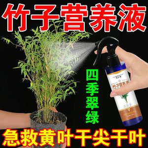 竹子专用营养液预防叶子发黄干尖干叶促生长红竹红观音竹有机肥料