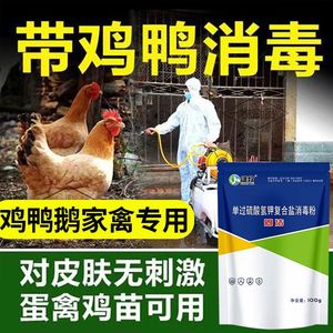 鸡舍消毒液鸡圈鸡场消毒养殖场专用过硫酸氢钾猪牛羊鸽棚消毒粉剂