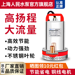 上海人民直流潜水泵12V24V48V60V电瓶车农家用小型灌溉神器抽水机