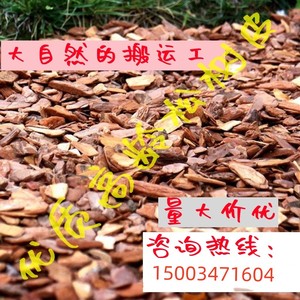 北京树皮覆盖物有机打磨松树皮园林花园彩色装饰碎木屑干树皮铺面