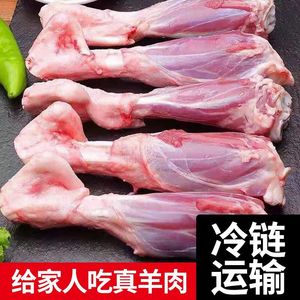 羊腱子羊小腿新鲜带骨羊肉羊腿肉冷冻生鲜烧烤食材后腱现杀羊腿骨