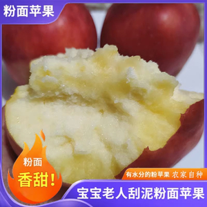 粉面沙甜苹果老年人吃的面苹果宝宝刮泥水果非花牛苹果9斤红香蕉