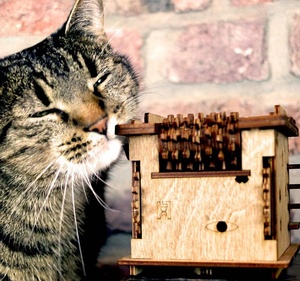 薛定谔的猫地狱级难度玩具Puzzle box密室逃脱解谜益智机关盒子