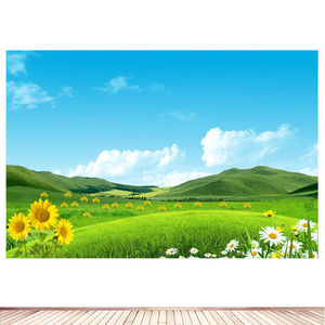 辽阔的草原蓝天白云自然风景墙贴壁画草地向日葵装饰画卧室自粘画