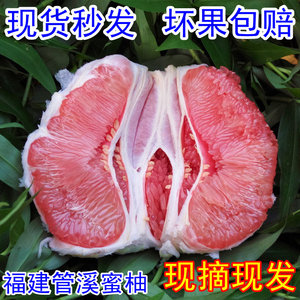 福建红心柚子水果新鲜现摘特产漳州当季平和官溪红肉三红蜜柚管溪