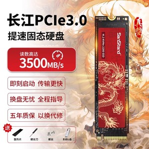 长江固态硬盘1t m2电脑笔记本台式机M.2 Pcie3.0 Nvme存储SSD 2TB