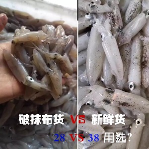 看见真鲜一口鱿4斤包邮 鲜活海鲜 黄刺金鲳鱼 深海纯野16枚珍珠鲷