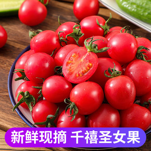 广西千禧圣女果5斤 樱桃小番茄自然熟应季正宗圣女果新鲜水果包邮