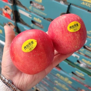 青怡洛川苹果应季新鲜水果陕西红富士冰糖心脆甜特产儿童9斤包邮