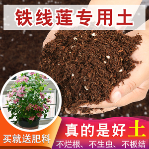 铁线莲专用土养花用的营养土养花专用土种球种根营养土花泥有机土
