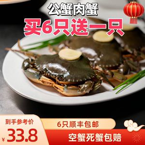 缅甸野生肉蟹青蟹鲜活水产黑蟹铁蟹泥蟹特大螃蟹2.3-2.8两/只公蟹